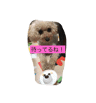 phyoooon！（個別スタンプ：3）