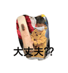 phyoooon！（個別スタンプ：9）