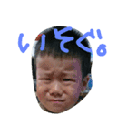 きょうやん（個別スタンプ：1）