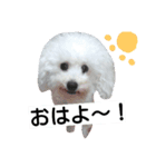 トイプ～！ Heart★Mate（個別スタンプ：1）