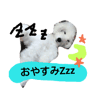 トイプ～！ Heart★Mate（個別スタンプ：2）