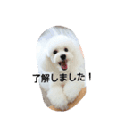 トイプ～！ Heart★Mate（個別スタンプ：3）