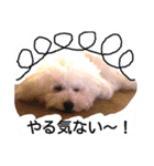 トイプ～！ Heart★Mate（個別スタンプ：4）