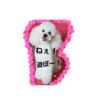 トイプ～！ Heart★Mate（個別スタンプ：5）