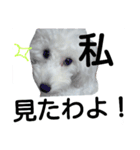 トイプ～！ Heart★Mate（個別スタンプ：6）