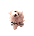 トイプ～！ Heart★Mate（個別スタンプ：7）