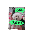 トイプ～！ Heart★Mate（個別スタンプ：8）