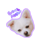 はっちゃんやで！（個別スタンプ：1）