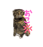 MokaMarie（個別スタンプ：3）