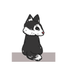 MR.BOBOO（個別スタンプ：2）