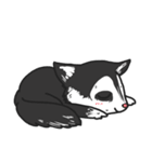 MR.BOBOO（個別スタンプ：8）