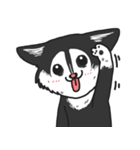 MR.BOBOO（個別スタンプ：10）