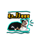 Have a fat cat（個別スタンプ：1）