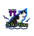 Have a fat cat（個別スタンプ：3）