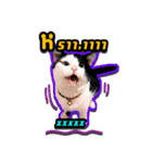 Have a fat cat（個別スタンプ：6）