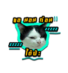 Have a fat cat（個別スタンプ：7）