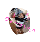 姫パパ（個別スタンプ：20）