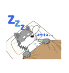 ガゥガゥ狼ガロンのスタンプ（個別スタンプ：22）