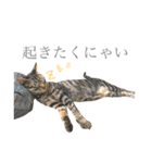 つゆおすたんぷ（個別スタンプ：9）