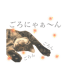 つゆおすたんぷ（個別スタンプ：11）