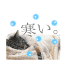 つゆおすたんぷ（個別スタンプ：12）