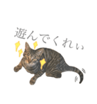 つゆおすたんぷ（個別スタンプ：24）