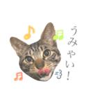 つゆおすたんぷ（個別スタンプ：26）