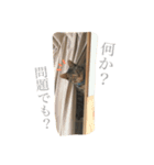つゆおすたんぷ（個別スタンプ：28）