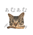 つゆおすたんぷ（個別スタンプ：30）