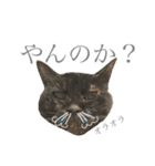 つゆおすたんぷ（個別スタンプ：32）