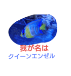 海水魚（個別スタンプ：1）
