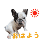 ティニーの日常会話（個別スタンプ：1）