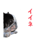 ティニーの日常会話（個別スタンプ：3）