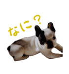 ティニーの日常会話（個別スタンプ：4）