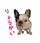 ティニーの日常会話（個別スタンプ：5）