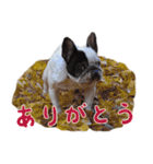 ティニーの日常会話（個別スタンプ：9）