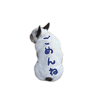 ティニーの日常会話（個別スタンプ：10）