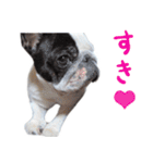 ティニーの日常会話（個別スタンプ：12）