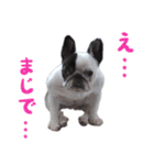 ティニーの日常会話（個別スタンプ：16）