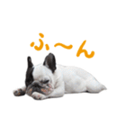 ティニーの日常会話（個別スタンプ：17）