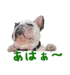 ティニーの日常会話（個別スタンプ：20）