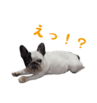 ティニーの日常会話（個別スタンプ：21）