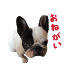 ティニーの日常会話（個別スタンプ：25）