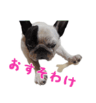 ティニーの日常会話（個別スタンプ：29）