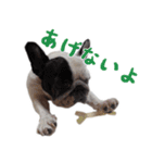 ティニーの日常会話（個別スタンプ：30）
