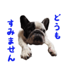ティニーの日常会話（個別スタンプ：31）