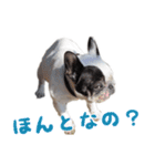 ティニーの日常会話（個別スタンプ：33）