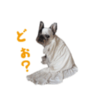 ティニーの日常会話（個別スタンプ：34）