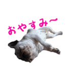 ティニーの日常会話（個別スタンプ：36）