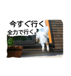 チワワのミルクスタンプ（個別スタンプ：7）